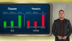 borsova-informacia13-10-2026