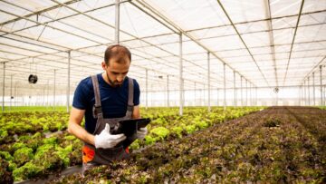 Worker in greenhouse with tablet in hand following something on screen