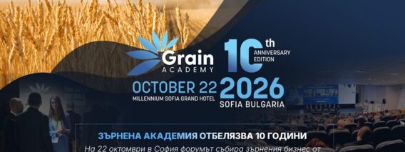 grain-academy