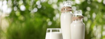 Glass and bottles of fresh milk on table outdoors