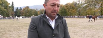 DP_KABIUK