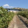 loze-napoiavane-agrotv