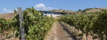 loze-napoiavane-agrotv