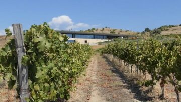 loze-napoiavane-agrotv