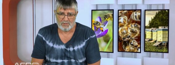 problemi-balgarsko-pchelarstvo-srebrin-iliev-agropolitiki