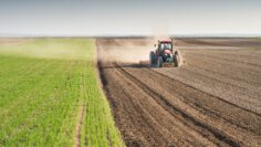 preparing land for sowing