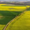 Colorful agricultural fields at spring, aerial drone view