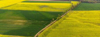 Colorful agricultural fields at spring, aerial drone view