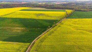 Colorful agricultural fields at spring, aerial drone view