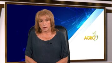 TRUDNA PAZARNA REALIZACIA