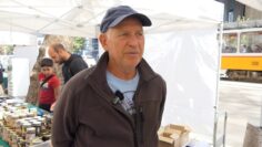 JIVOTNOVADSTVO